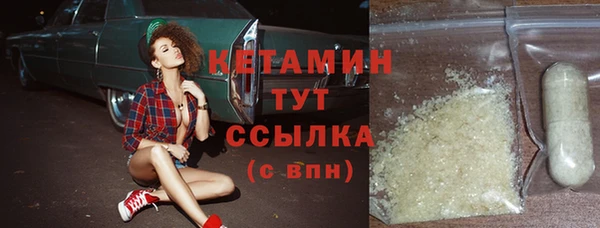 сатива Заводоуковск