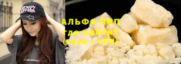 сатива Заволжье