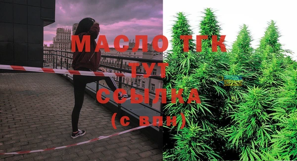 сатива Заволжье