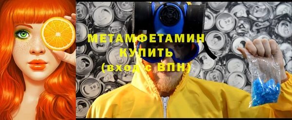 сатива Заволжье
