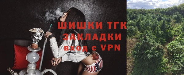 сатива Заводоуковск