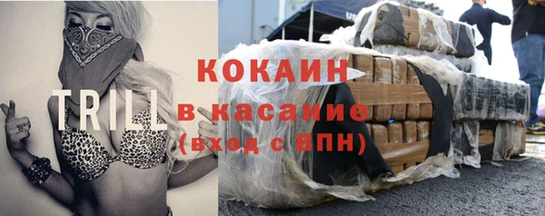 сатива Заволжье