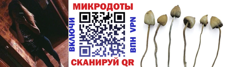 Купить где  Бокситогорск  Псилоцибиновые грибы GOLDEN TEACHER 